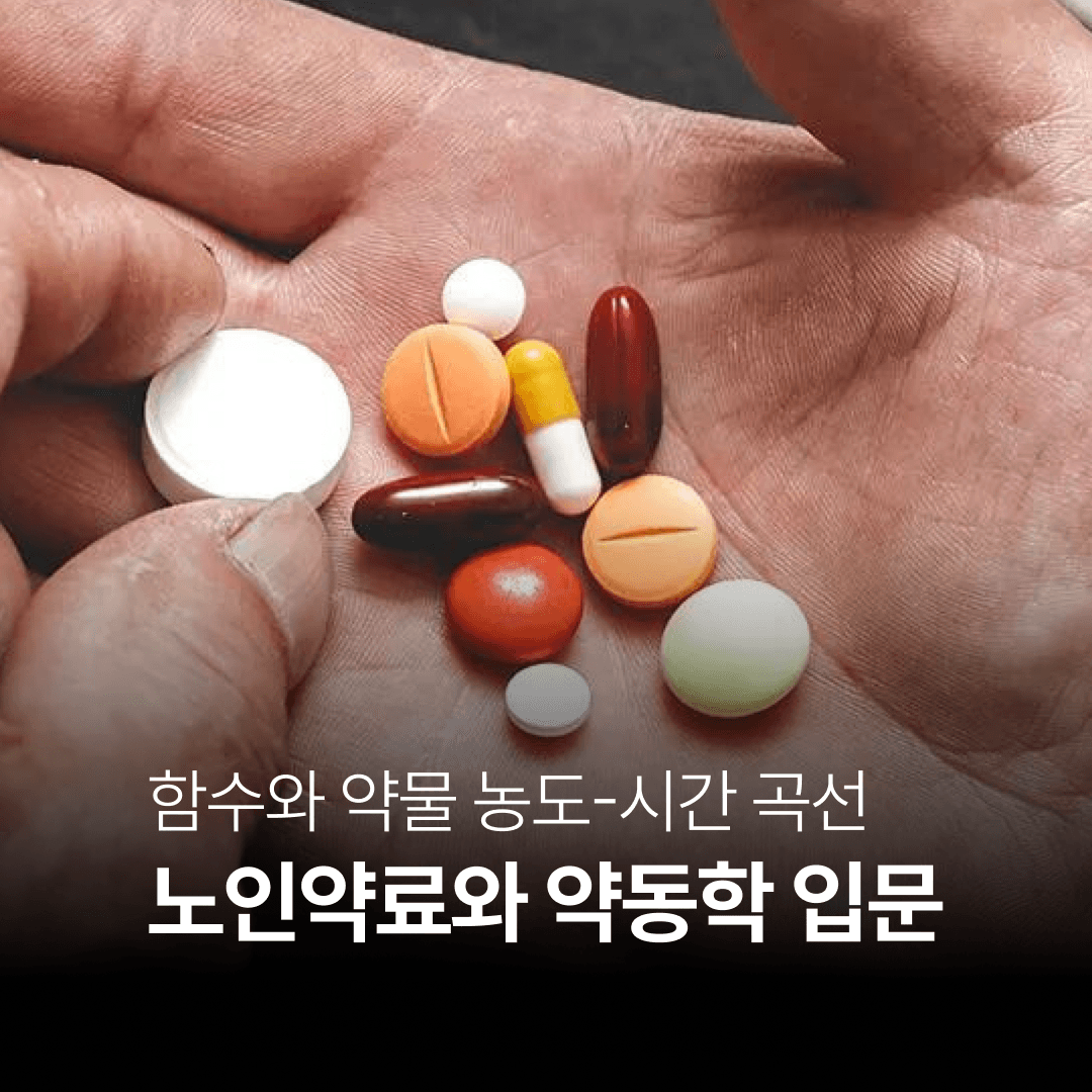 함수와 약물 농도-시간 곡선 — 노인약료와 약동학